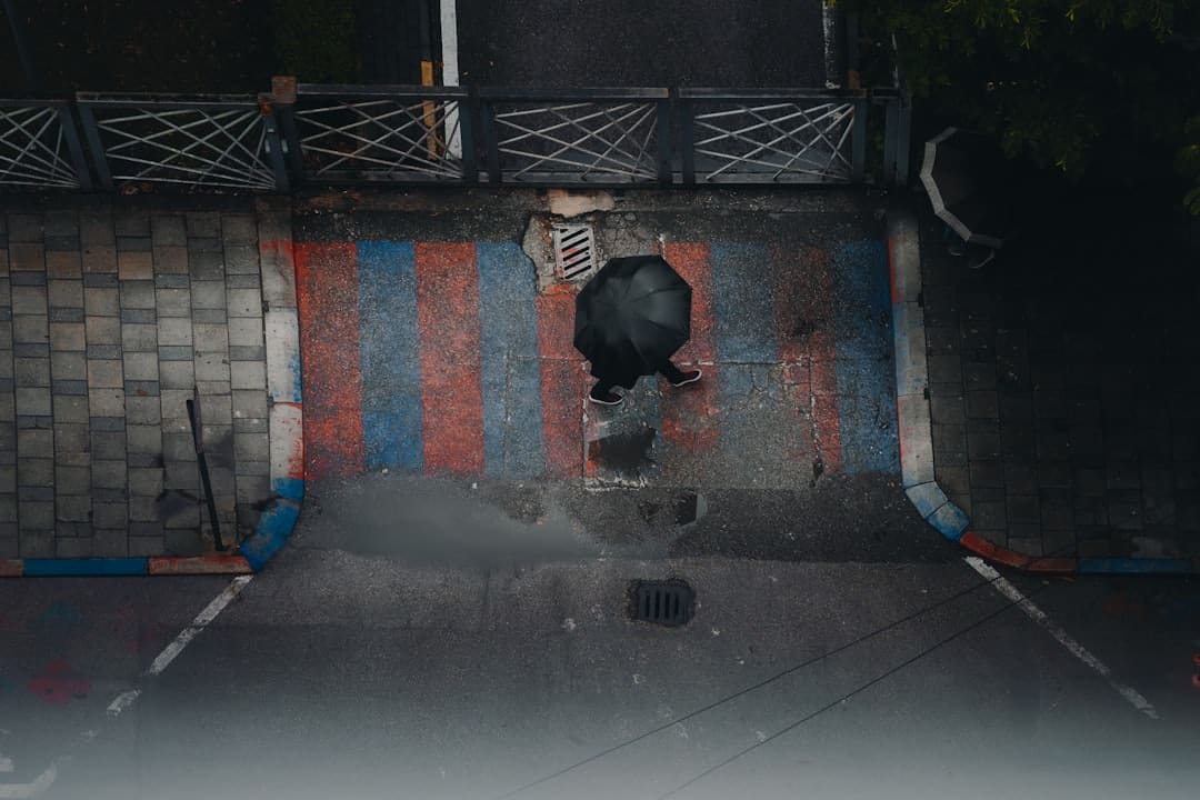 文质彬彬·每日好词语|四海之内皆兄弟